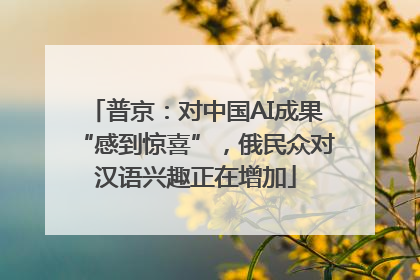 普京：对中国AI成果“感到惊喜”，俄民众对汉语兴趣正在增加